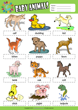 Baby Animals Esl Printable Worksheets For Kids 1