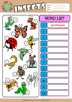 Insects Esl Printable Worksheets For Kids 3