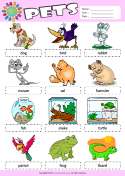 Pets Picture Dictionary ESL Vocabulary Worksheet