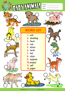 Baby Animals Number the Pictures ESL Vocabulary Worksheet