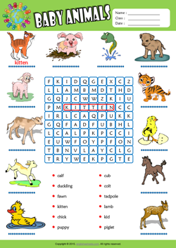 Baby Animals Word Search Puzzle ESL Vocabulary Worksheet