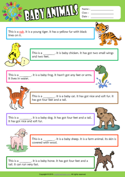 Baby Animals Find the Words ESL Vocabulary Worksheet