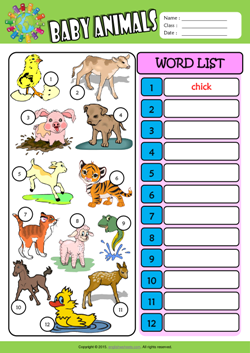Baby Animals Write the Words ESL Vocabulary Worksheet