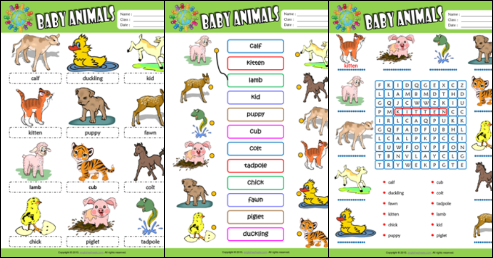 Baby Animals ESL Printable Worksheets For Kids 1