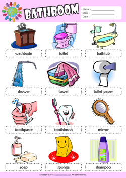 Bathroom Picture Dictionary ESL Vocabulary Worksheet