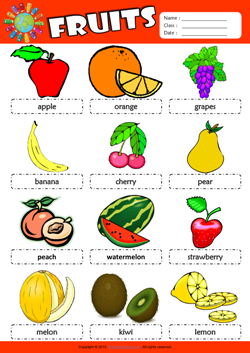 Fruits Picture Dictionary ESL Vocabulary Worksheet