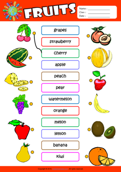 Fruits ESL Matching Exercise Worksheet For Kids