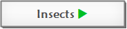 Insects Main Page