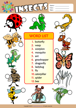 Insects Number the Pictures ESL Vocabulary Worksheet