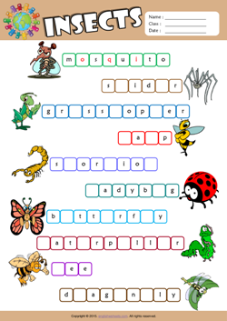 Insects Missing Letters in Words ESL Vocabulary Worksheet