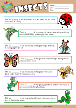 Insects Find the Words ESL Vocabulary Worksheet