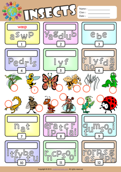 Insects Unscramble Words ESL Vocabulary Worksheet