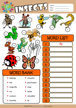 Insects ESL Find and Write the Words Worksheet For Kids