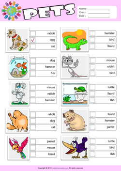 Pets ESL Multiple Choice Worksheet For Kids