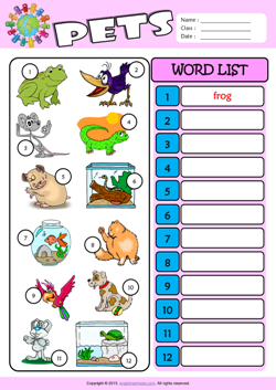 pets esl printable worksheets for kids 3