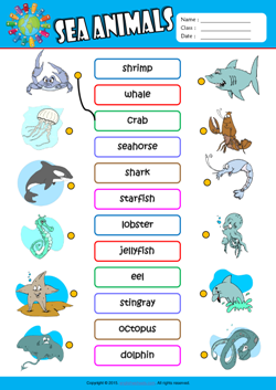 Sea Animals ESL Matching Exercise Worksheet For Kids