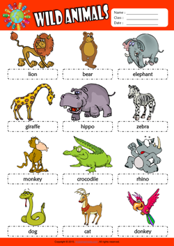 Wild Animals Picture Dictionary ESL Vocabulary Worksheet