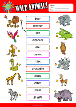 Wild Animals ESL Matching Exercise Worksheet For Kids
